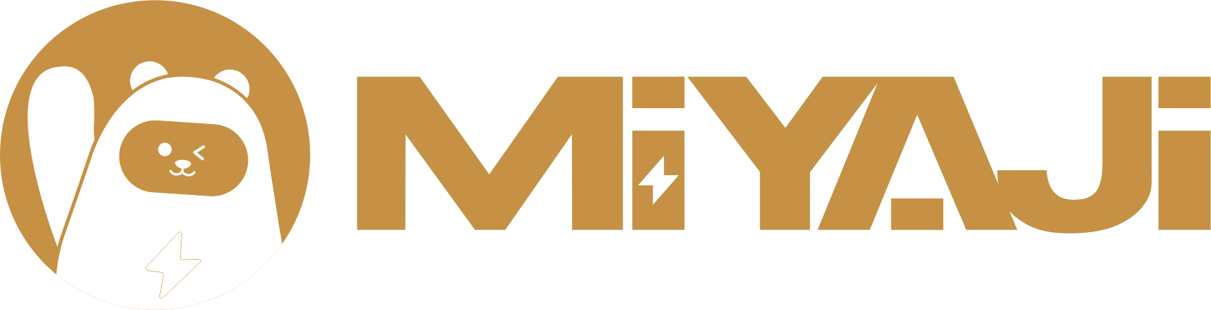 One-stop EV supply & operation partner